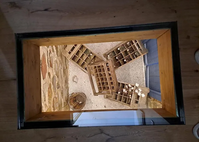 Feriehus Les Goelettes A 250 M De La *